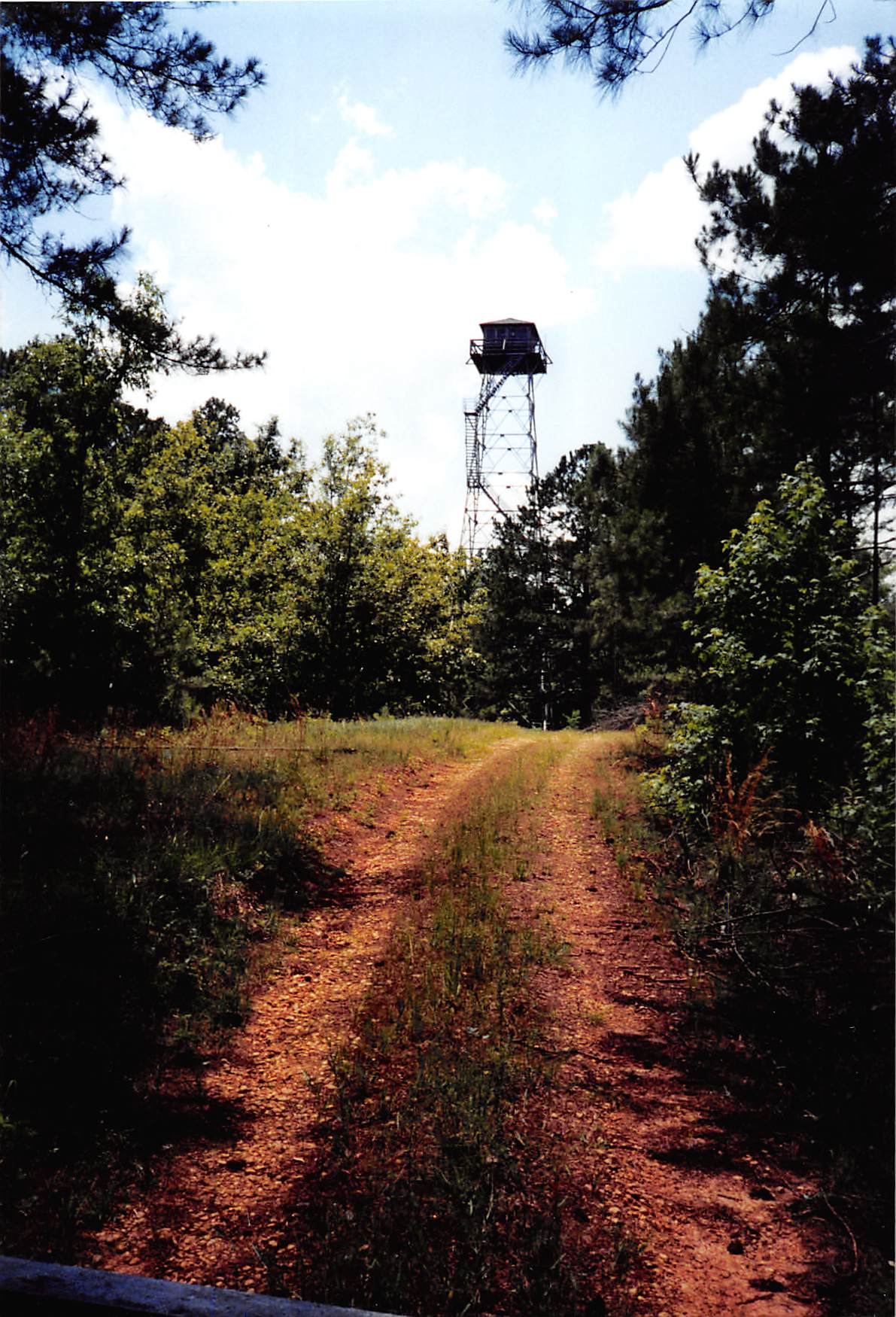 Photo courtesy of Al Pelham