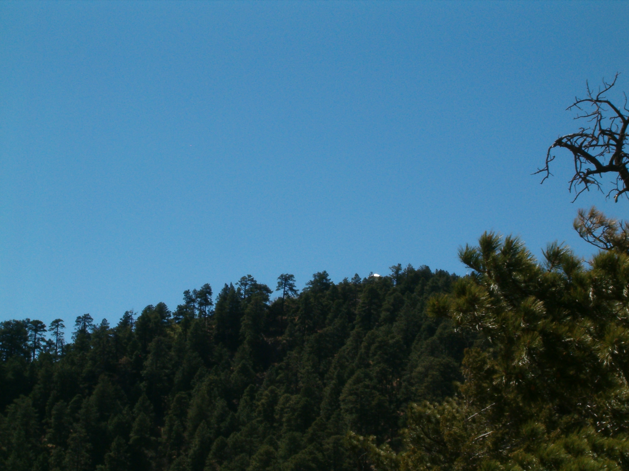 Distant view of Barfoot Lookout before destruction (Armando Arvizu photo)
