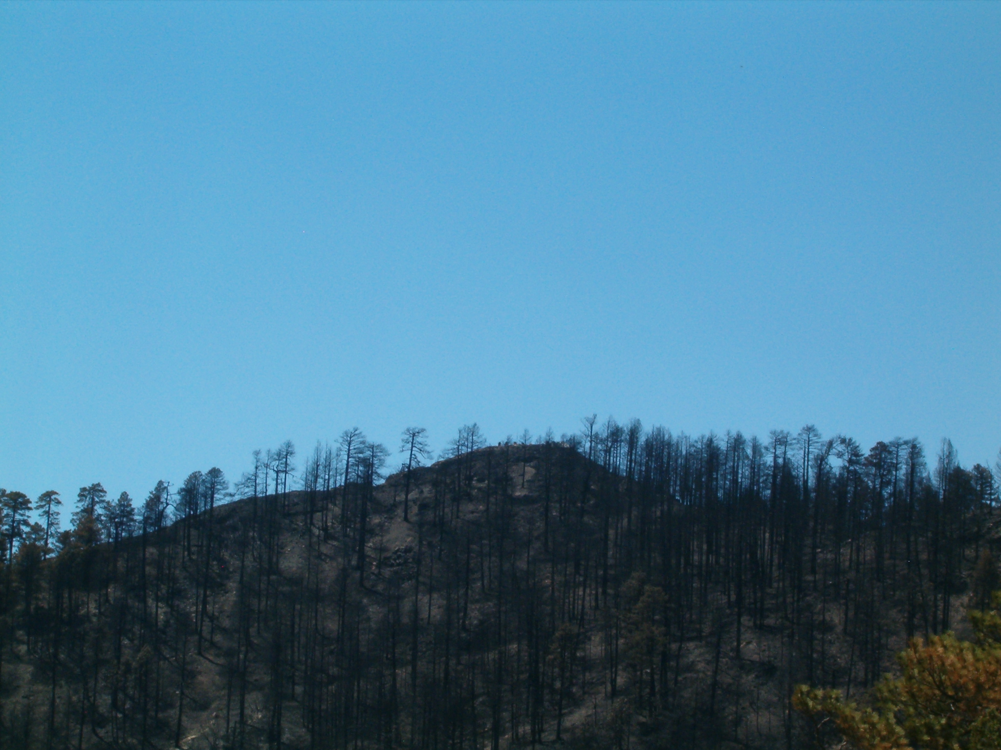 Distant view of Barfoot site after destruction (Armando Arvizu photo)