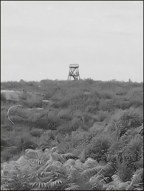 Turkey Hill Observation Tower as seen from Filley Road