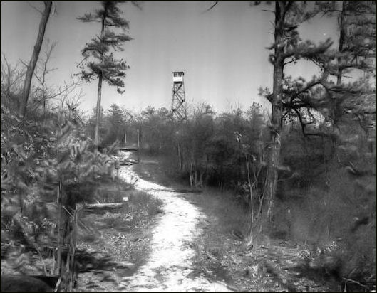 April 1956 NY State Dept. of Environmental Conservation photo
