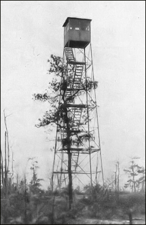 1918 NY State Dept. of Environmental Conservation photo