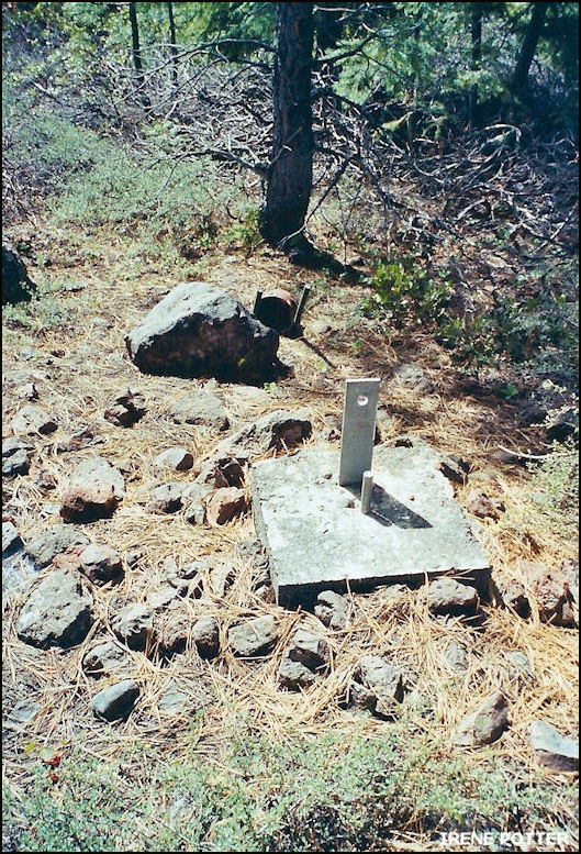 Another base for a leg 6/4/2002