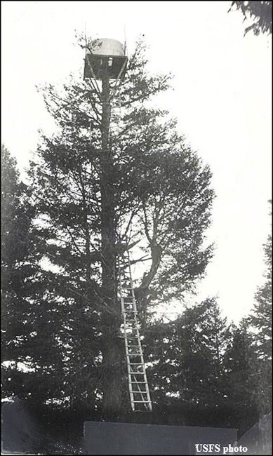 Crow's Nest