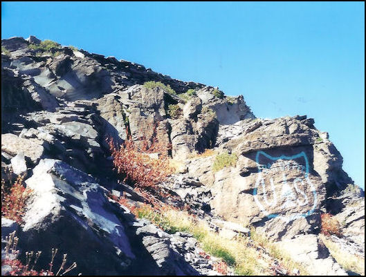 US Forest Service logo painted on mountain