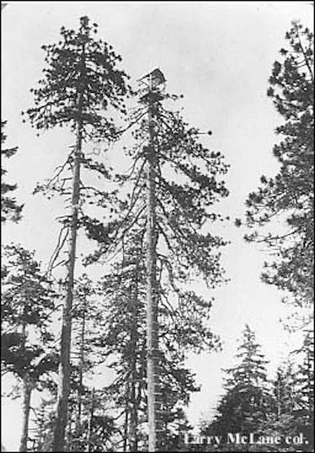 1933