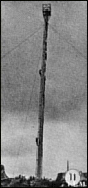 Original crow's nest tree, 1933