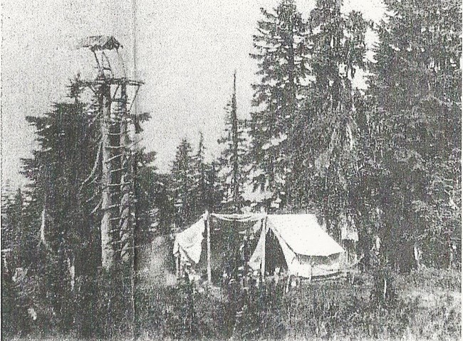 1924 photo of tree stand predecessor by Norm McCausland