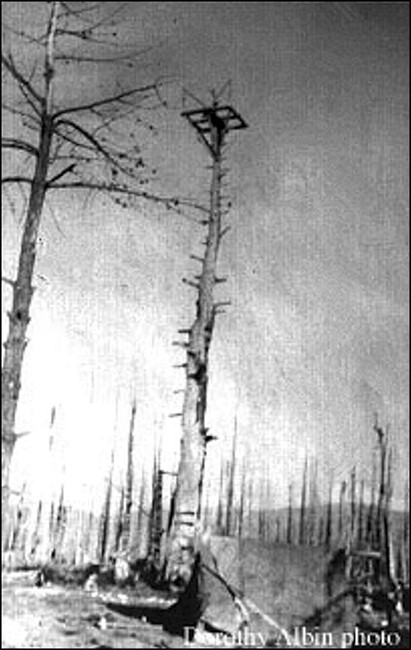 1932, crows nest