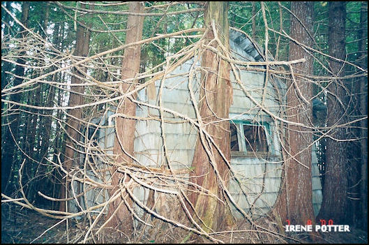 End view of crumbling cabin 7/8/2000