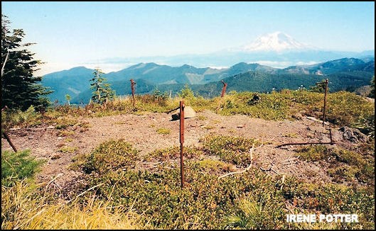 2001