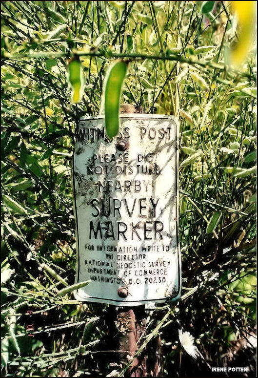 Geodetic Survey sign July 2001