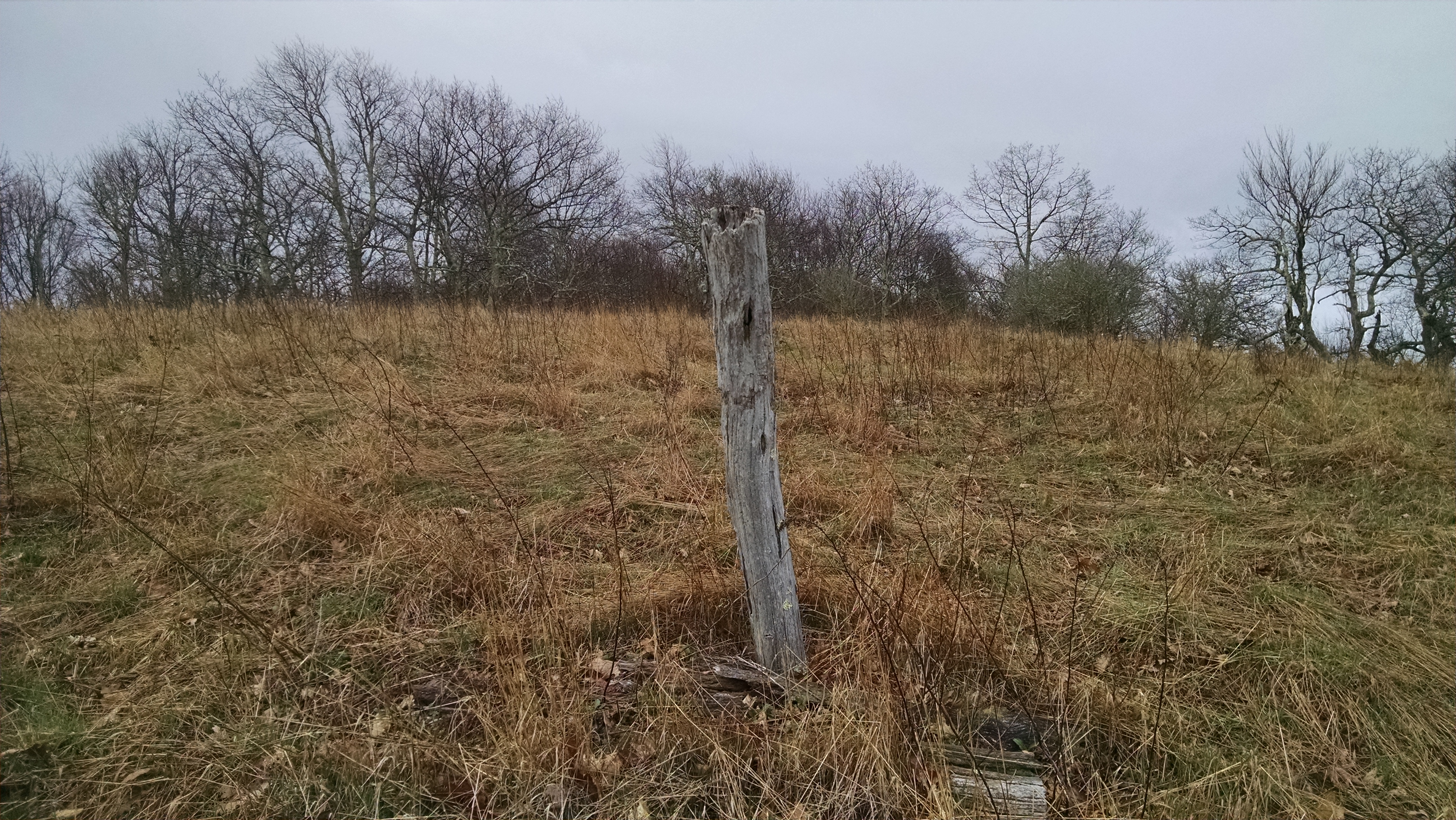 Site photo by Renick Proffitt