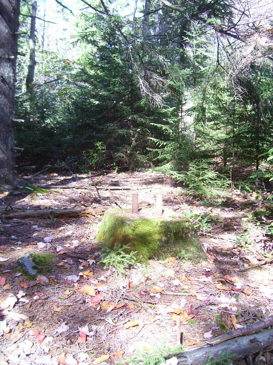 Footings in October 2008