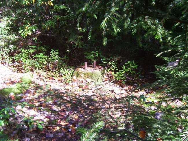 Footings in October 2008