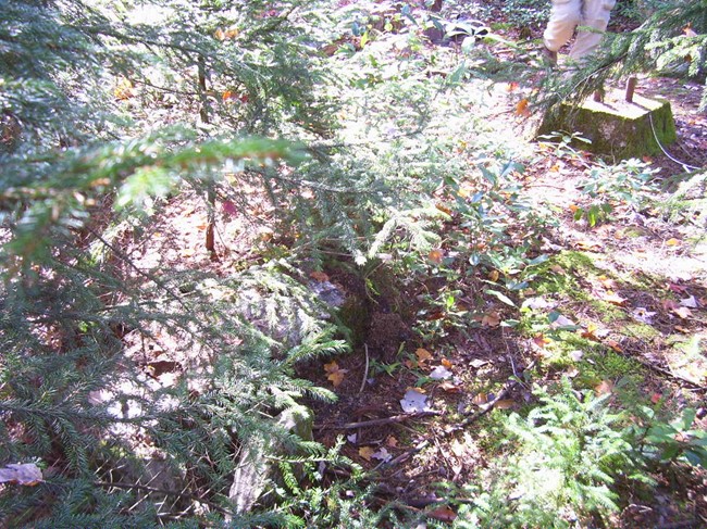 Footings in October 2008