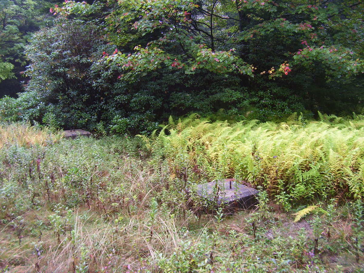 Footings in September 2008