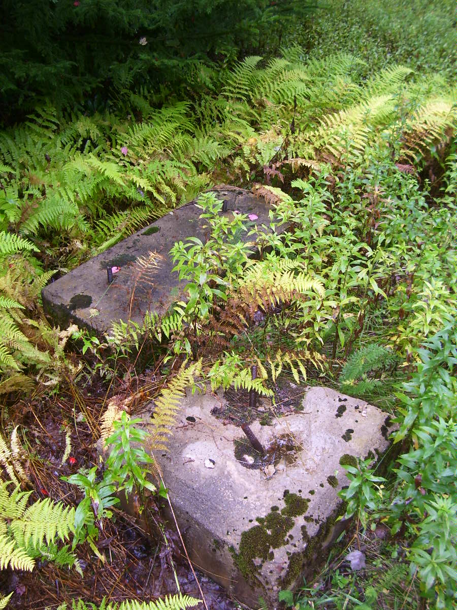 Footings in September 2008