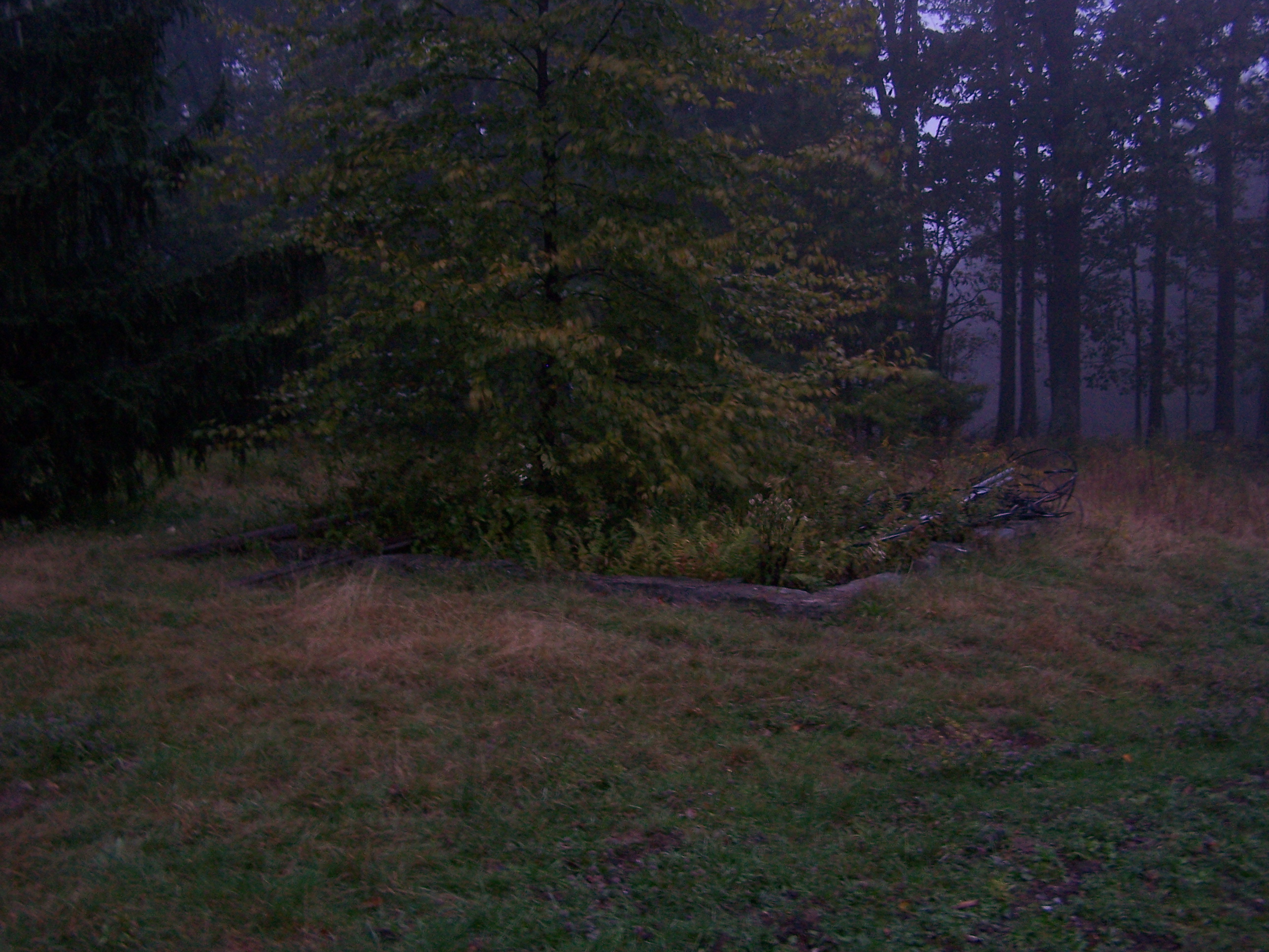 Foundation in September 2008