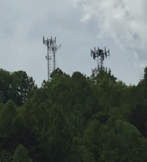 2017 photo
