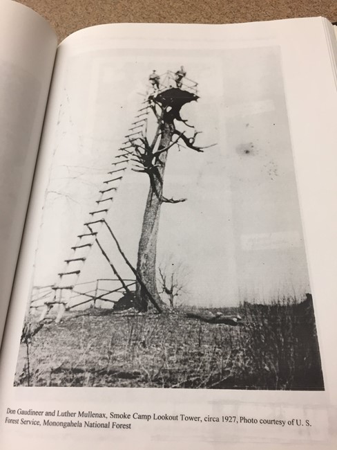Previous 1927 tree stand tower