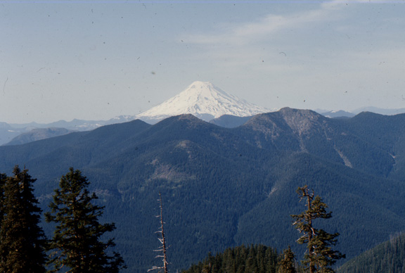 1966 view looking north
