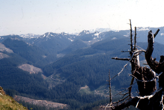 1966 view looking southeast