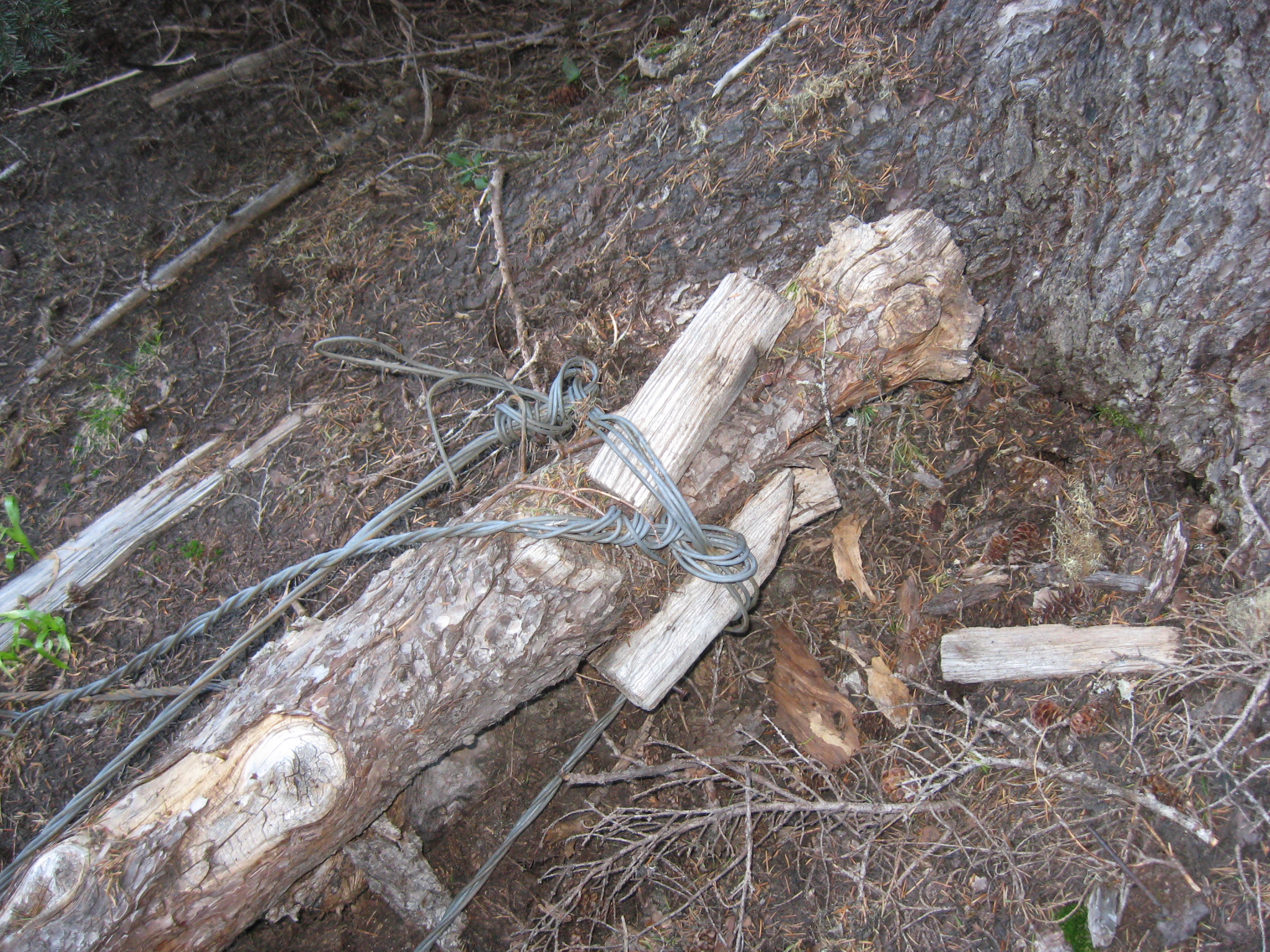 Badger Butte Lookout Site 2011