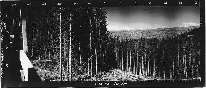 Eagle Creek Lookout panoramic 3-20-34