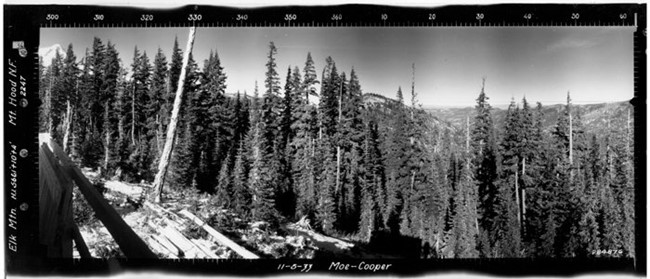 Elk Mountain Lookout panoramic 11-5-33