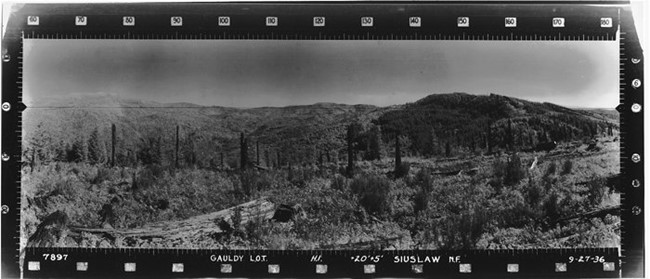 Gauldy Mountain Lookout panoramic 9-27-36