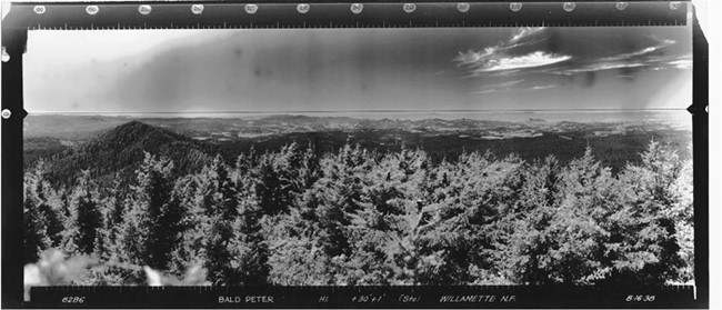 Bald Peter Mountain panoramic