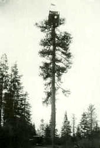 Agency Hill Lookout 1930 - 1932