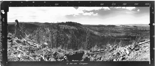 Fuzztail Butte Lookout panoramic 6-30-1933