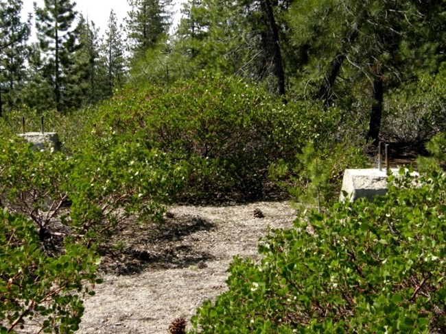Pumice Butte Lookout site 2007