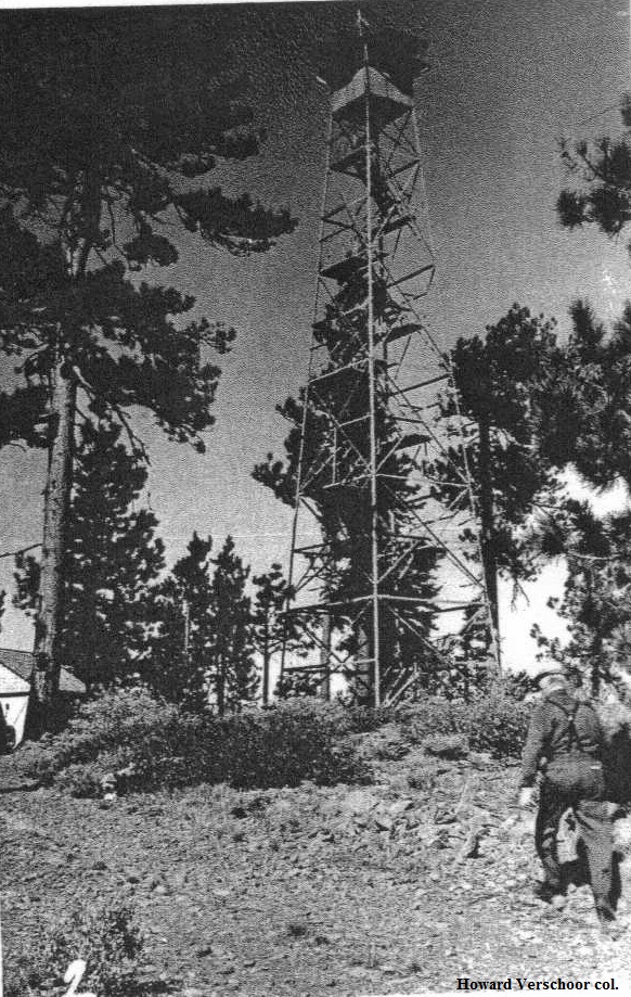Shoestring Butte Lookout 