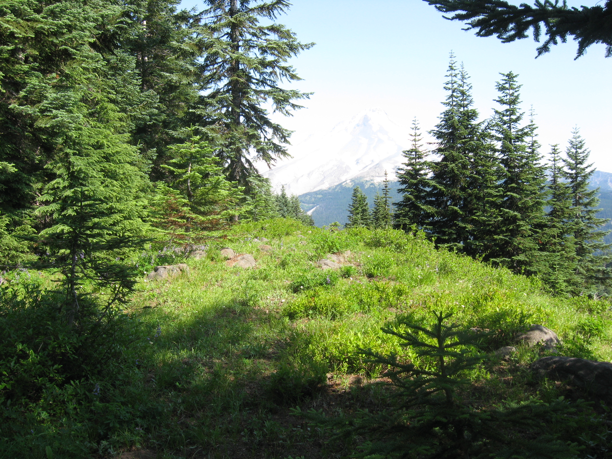 Barlow Point Lookout site 2012