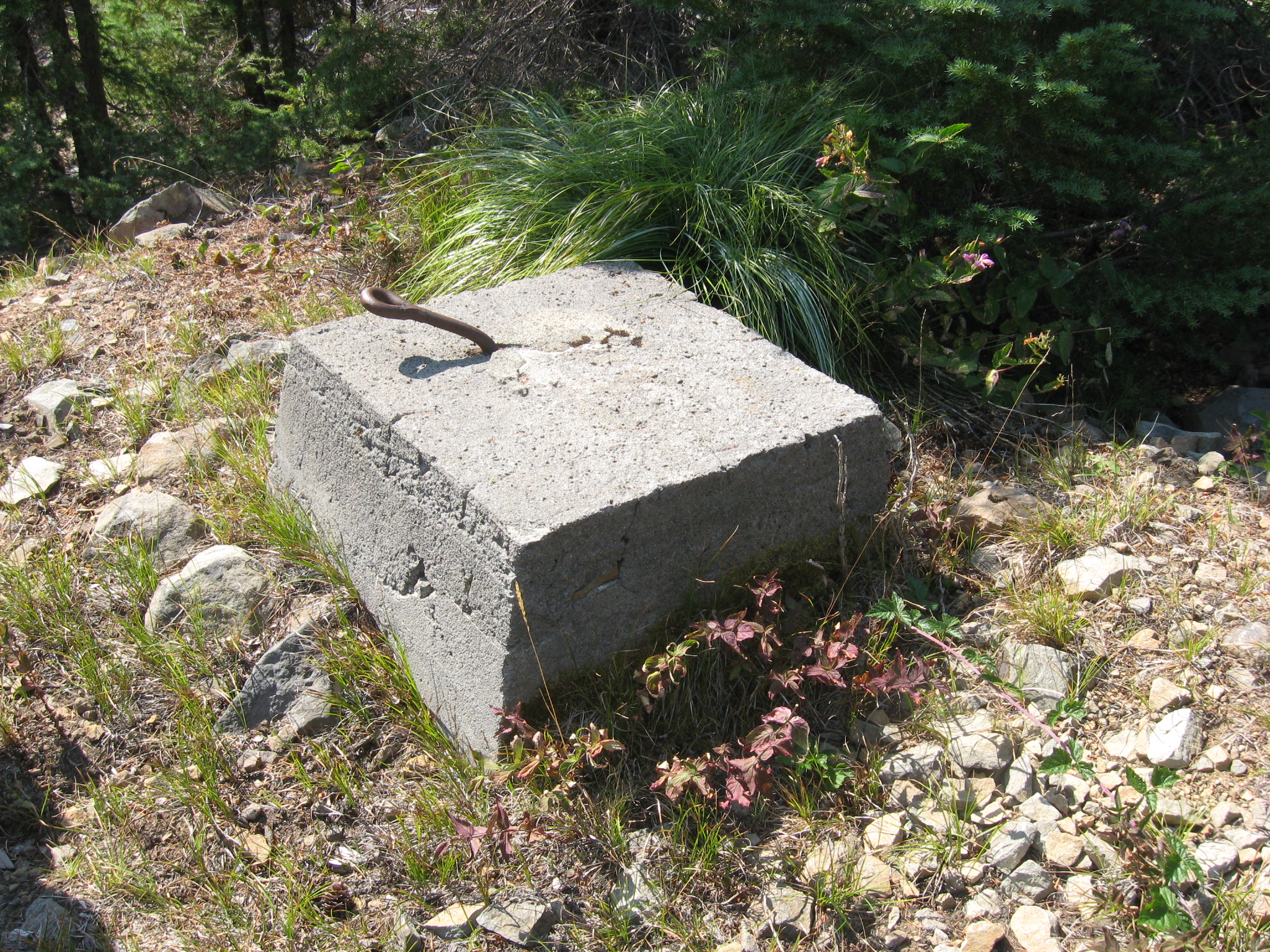 Peavine Mountain Lookout site 2011