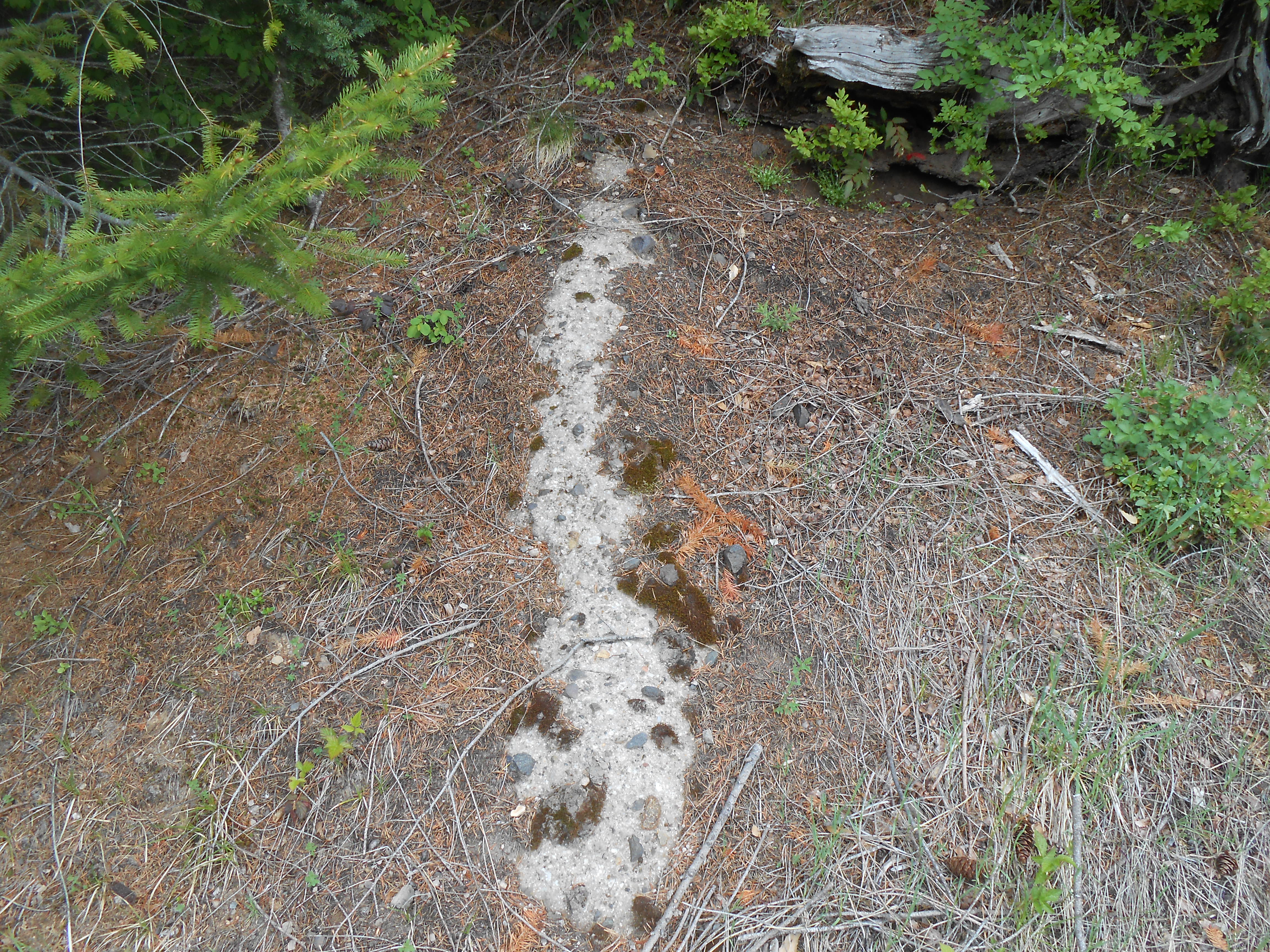 Sweet Springs (Duro) Lookout site 2018