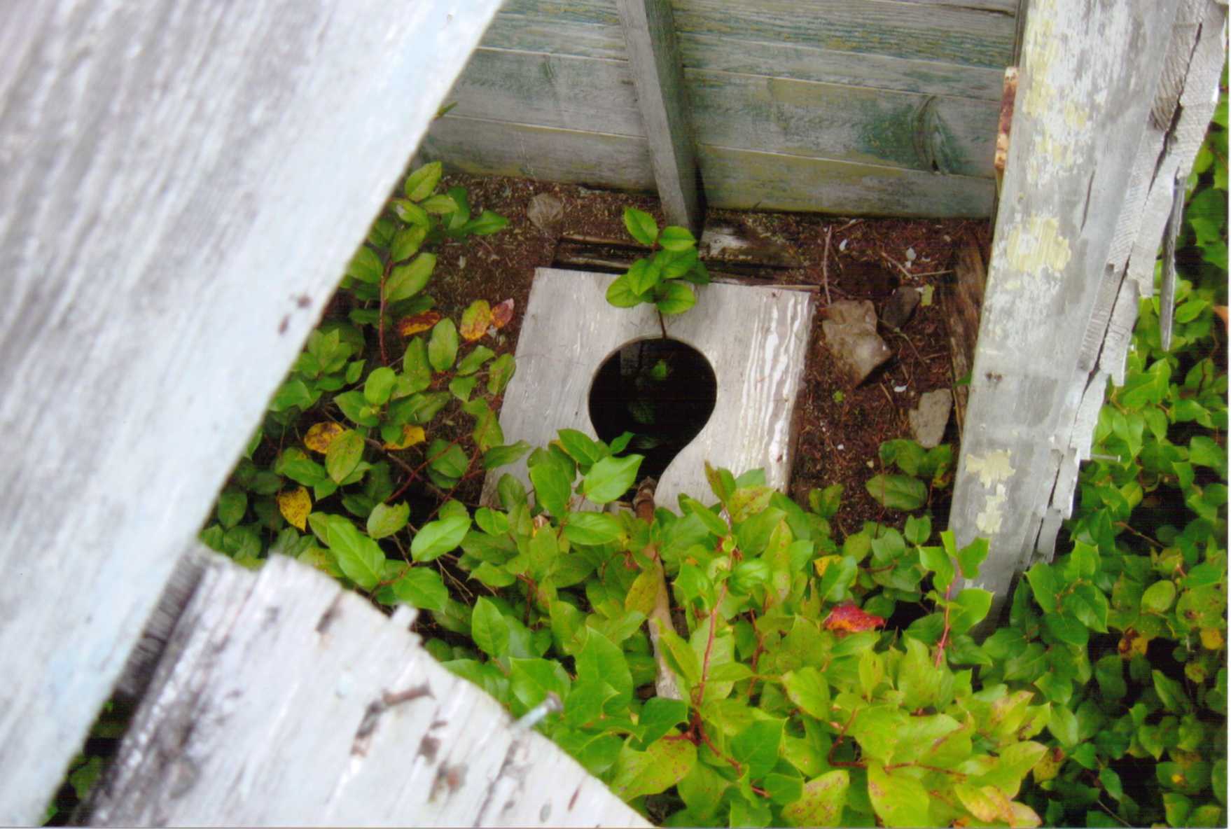 Cummins Peak Lookout site 2010