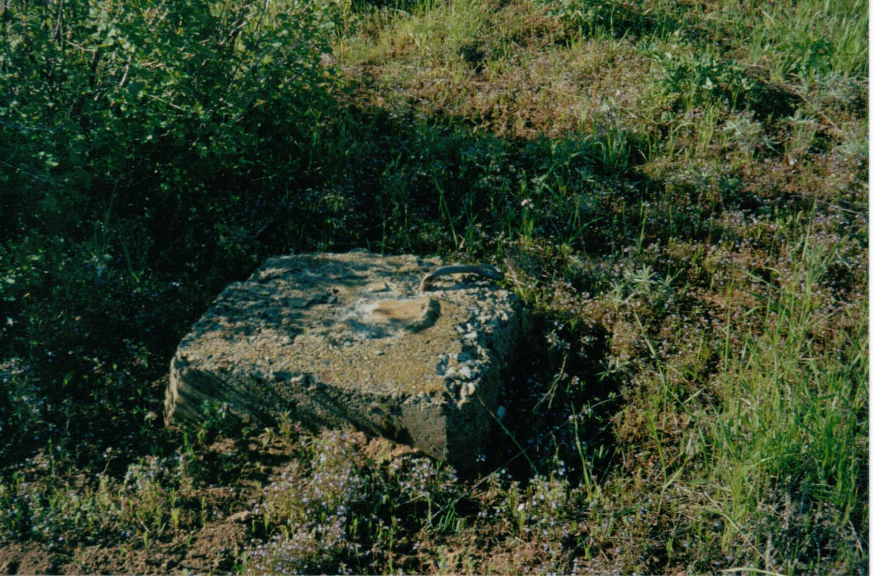 Hilltop Lookout site 2010
