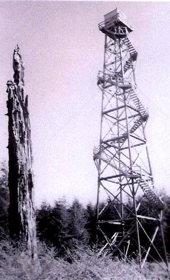 Little Hebo Lookout 1950