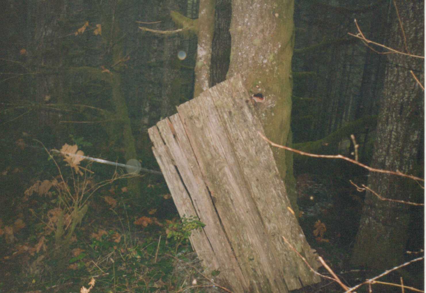 Norton Hill Lookout site 1997