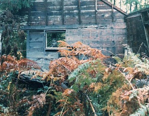 Windy Peak Lookout site 1982