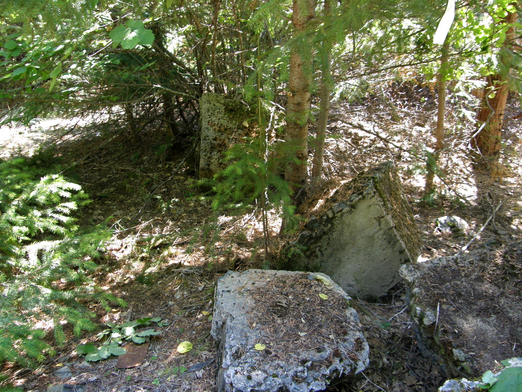 Battle Mountain Lookout site 2007