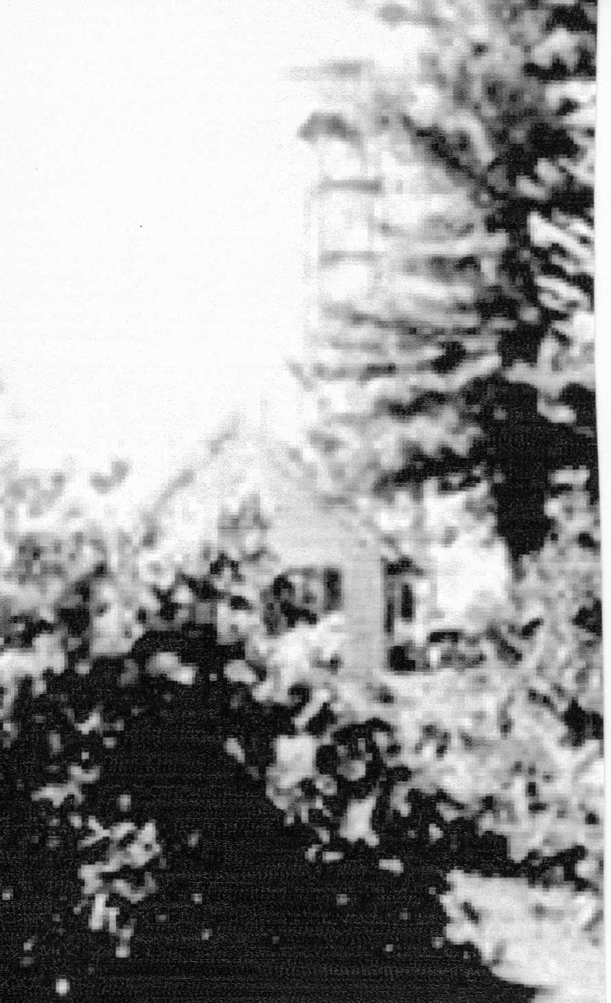 Bear (Castle) Mountain Lookout 1934 - 1972