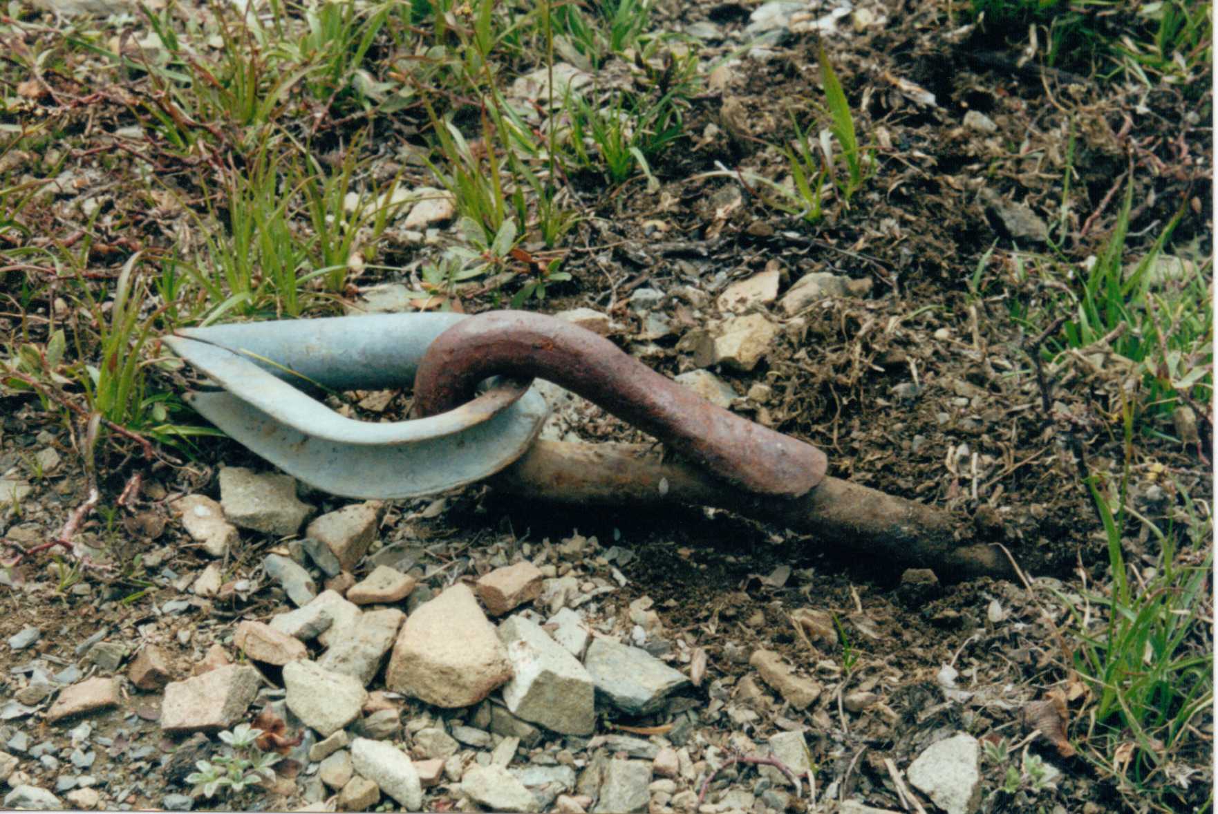 Bear Wallow Lookout site 2000