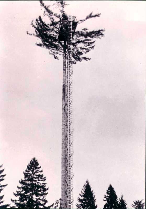 Bell Mountain Lookout 1928 - 1942