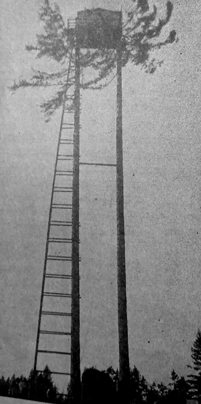 Bell Mountain Lookout 