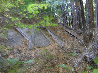 Buster Butte Lookout site 2007